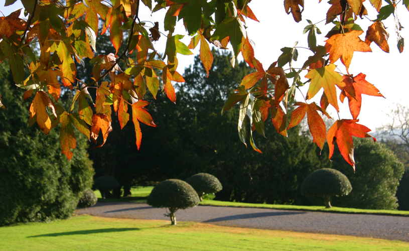 Tyntesfield - Bristol’s best parks for autumn leaf-peeping